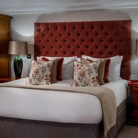 Judge's 5* ヨーク