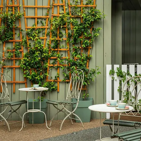 Judge's 5* ヨーク